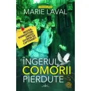 Ingerul comorii pierdute