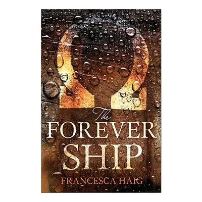 The Forever Ship