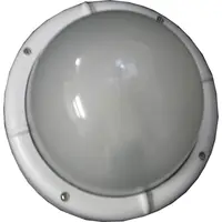 Corpuri de iluminat tip plafoniere rotunde 1081S 60W