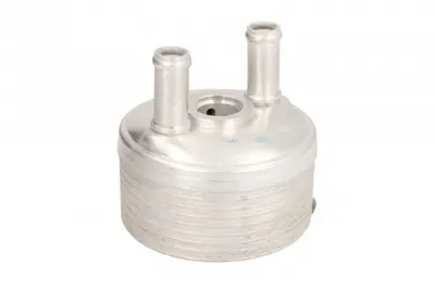 Termoflot Radiator Ulei (98x62x98) Audi A3, Tt; Seat Altea, Altea Xl, Leon, Toledo Iii; Skoda Octavia Ii; Vw Golf Plus, Golf V, Golf Vi, Golf Vii, Jetta Iii, Jetta Iv, New Beetle, Passat, Touran 1.4-2