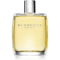 Burberry Burberry for Men Eau de Toilette pentru bărbați 100 ml