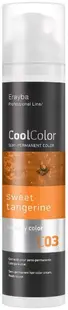 Erayba CoolColor Pigment pentru păr, C03 Sweet Tangerine, 100 ml