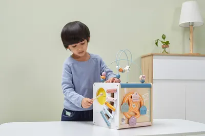 Cub cu activități 8 în 1