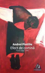 Efect de cortină - Paperback brosat - Andrei Pintilie