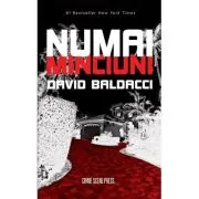 Numai minciuni