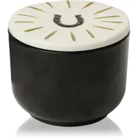 Paddywax Charmed Tabac & Pine lumânare parfumată cu capac 226 g