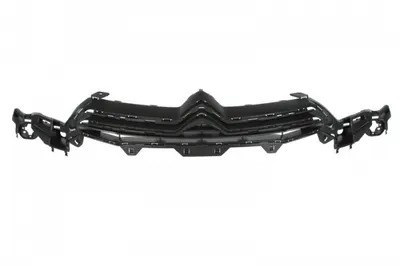 Grila fata neagra CITROEN C4 II dupa 2009