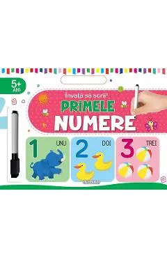 Invata sa scrii! Primele numere