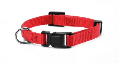 Zgarda nylon, rosie, confortabila, 48-73 cm x 2.5 cm