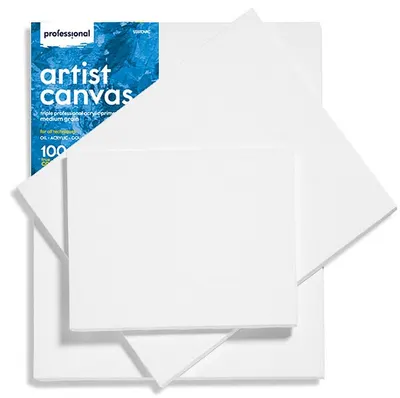 Pânză pentru pictură Professional - 20 x 30 cm
