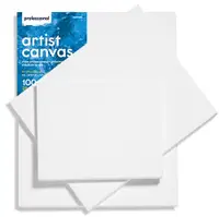 Pânză pentru pictură Professional - 20 x 30 cm
