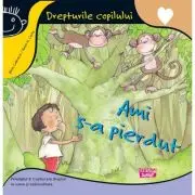 Ami s-a pierdut