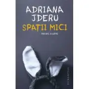 Spatii mici. Proza scurta