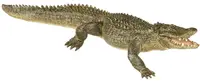 Figurina Papo Wild Animal Kingdom – Aligator