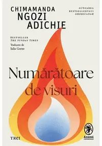 Numaratoare de visuri