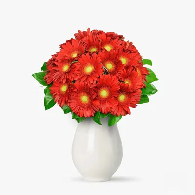 Buchet de 19 gerbera rosii