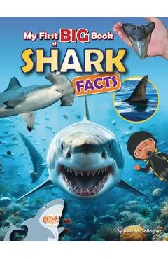 My First Big Book of Shark Facts