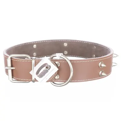 Zgarda din piele, maro, cu 2 randuri de colti metalici, 4 cm x 65 cm