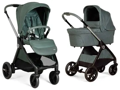 Cărucior combinat pentru bebeluși 2 în 1 Chicco - Bellagio, Fir Tree