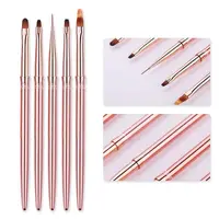 Set 5 Pensule Profesionale Gel si Pictura Rose
