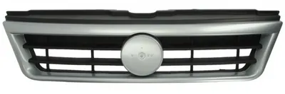 Grila radiator FIAT DUCATO bus (244, Z_) 2002-2006
