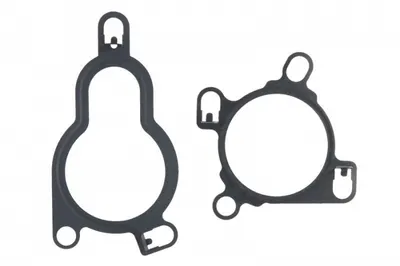 Garnitura Supapa Egr Nissan Nv400, Primastar, Qashqai I, X-Trail; Opel Movano B, Vivaro A; Renault Espace Iv, Grand Scenic Ii, Grand Scenic Iii, Koleos I, Koleos Ii, Laguna, Laguna Ii 2.0d 2.3d Dupa 2
