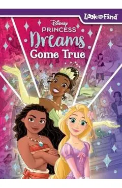 Disney Princess: Dreams Come True Look and Find