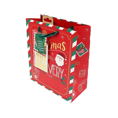Pungă de cadou, din hârtie, colecția Clairefontaine de la Eurowrap, 33x26,5 cm, burduf de 14 cm, Delivery