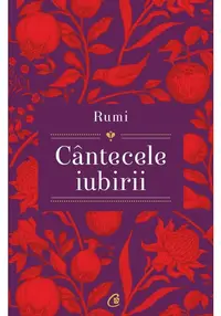 Rumi