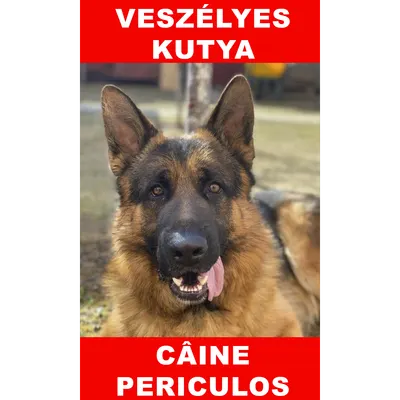 Indicator caine periculos C German Bilingvă