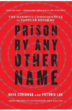 Prison by Any Other Name: The Harmful Consequences of Popular Reforms