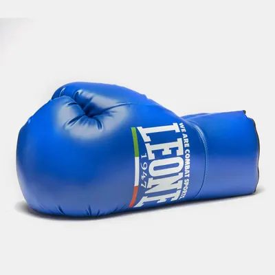 Manusa de Box Ornamentala Leone Albastra