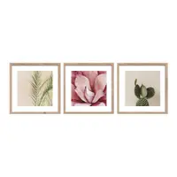 Tablouri cu ramă 3 buc. imprimate 30x30 cm Fresh – Styler
