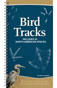 Bird Tracks: Easily Identify 55 Common North American Species