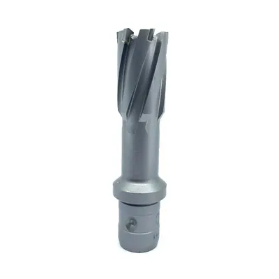 Carota pt. otel din carbura de tungsten, ⌀ 22mm, h=50mm, cu prindere Quick-IN - DXDY.P-TCT-50.22.QI