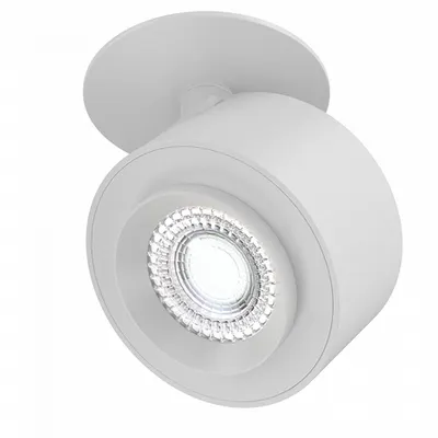 Plafoniera, lampa tavan TreonC063CL-L12W4K