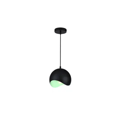 Lampa tavan - Ceiling fixture MAVIA , 1839,AC220-240V,50/60Hz,1*E27, IP20, Diameter 20 CM,single, black/green