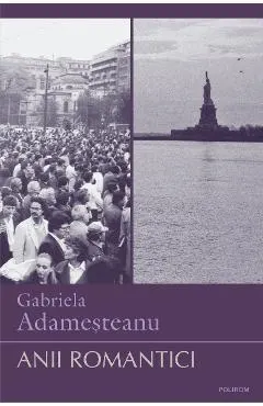eBook Anii romantici