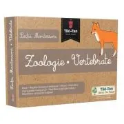 Lectii de Zoologie. Vertebrate