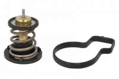 Termostat lichid racire (92 C) potrivit SEAT IBIZA V; VW POLO VI 1.0 01.17