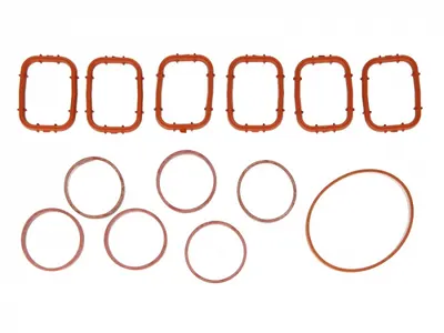 Set garnituri galerie admisie BMW Seria 3 (E46), 3 (E90), 3 (E91), 3 (E92), 3 (E93), 5 (E39), 5 (E60), 5 (E61), 6 (E63), 6 (E64), 7 (E38), 7 (E65, E66, E67), X3 (E83), X5 (E53), X5 (E70) 2.5D 3.0D int