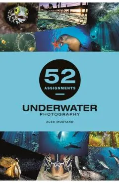 52 Assignments: Underwater Photography