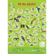 Plansa. 50 de pasari
