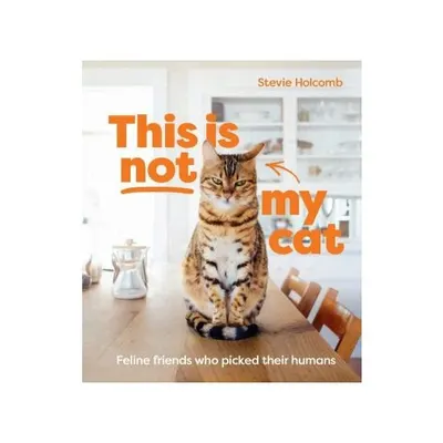 This Is Not My Cat: Feline Friends Who Picked Their Humans