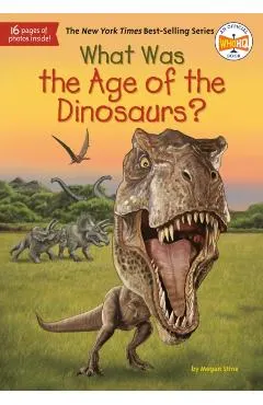 What Was the Age of the Dinosaurs?