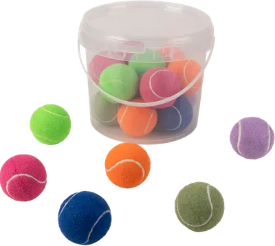 Pawise Hard Tennis Ball Set 20 Buc