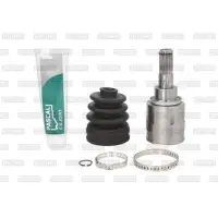 Set articulatie, planetara PASCAL G71033PC