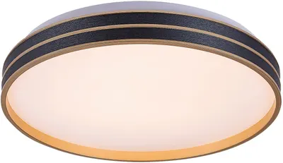Plafon LED Rabalux - Gandor 71141, IP20, 24W, reglabil, negru mat
