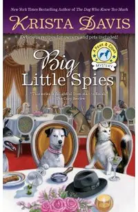 Big Little Spies