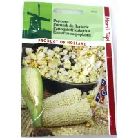 Seminte porumb Popcorn 3 gr, Holland - Default Title